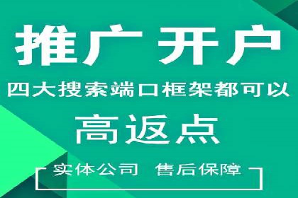 成功案例：SEM竞价代运营助力品牌崛起